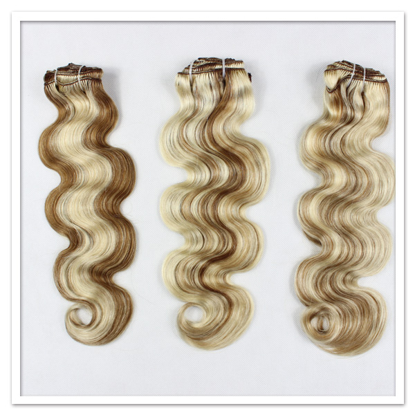 Omber Clip in Hair Extension JL2